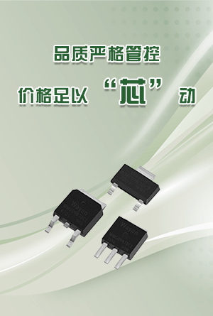 熱門分立半導體優勢圖